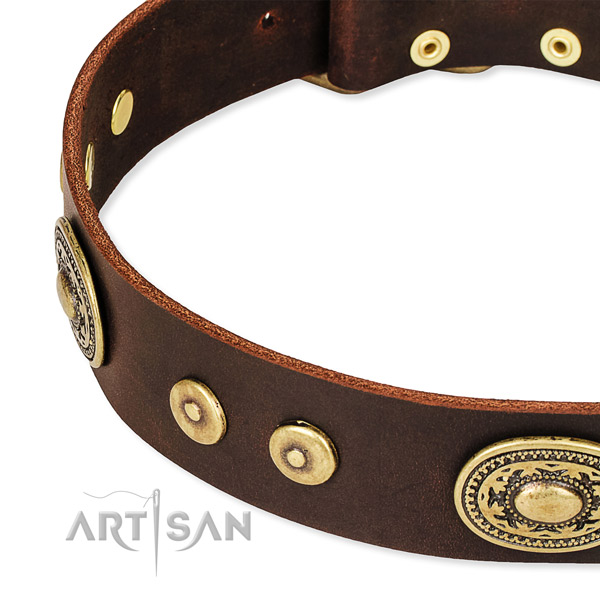 Decorated dog collar made of top notch full grain natural leather