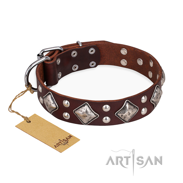 Walking stylish design dog collar with strong traditional buckle
