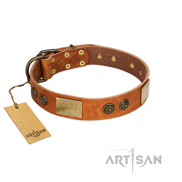 Top notch full grain natural leather dog collar for basic training