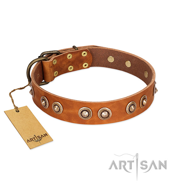 Durable D-ring on full grain leather dog collar for your four-legged friend