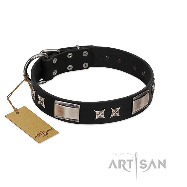 Trendy dog collar of leather