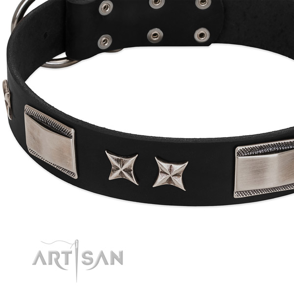 Best quality natural leather dog collar with reliable D-ring