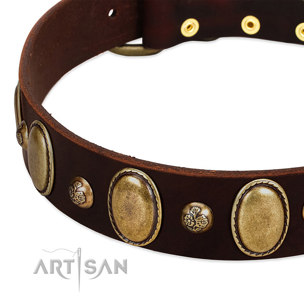 Full grain genuine leather dog collar with stunning studs