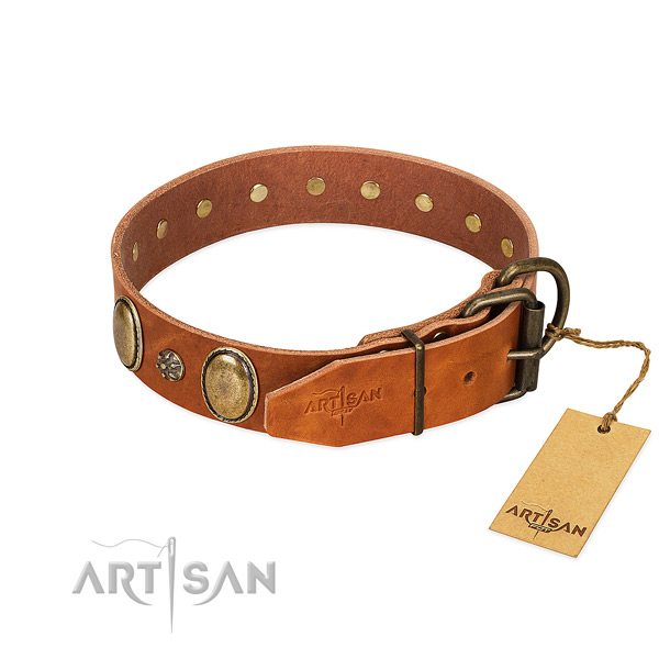 Daily walking top notch genuine leather dog collar