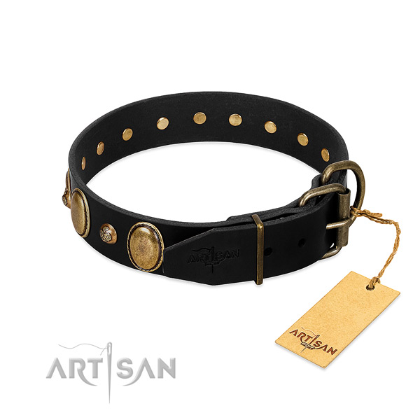 Rust-proof traditional buckle on genuine leather collar for walking your four-legged friend