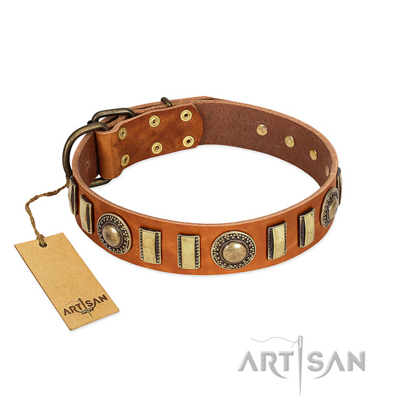 Trendy genuine leather dog collar with rust resistant fittings