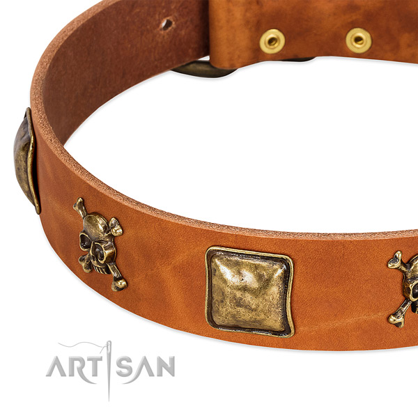 Significant adornments on genuine leather collar for your dog
