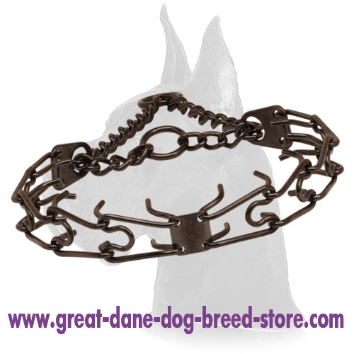 Black Dog Pinch Collar of Stainless Steel