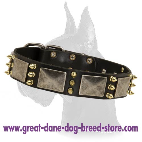 Best collar for outlet great dane