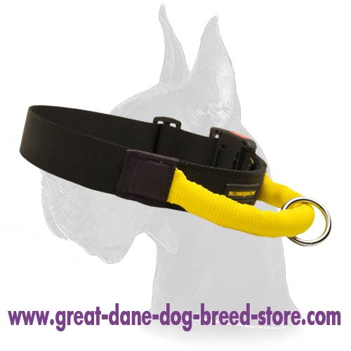 Great dane collar with sale handle