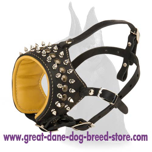 Muzzle harness hotsell