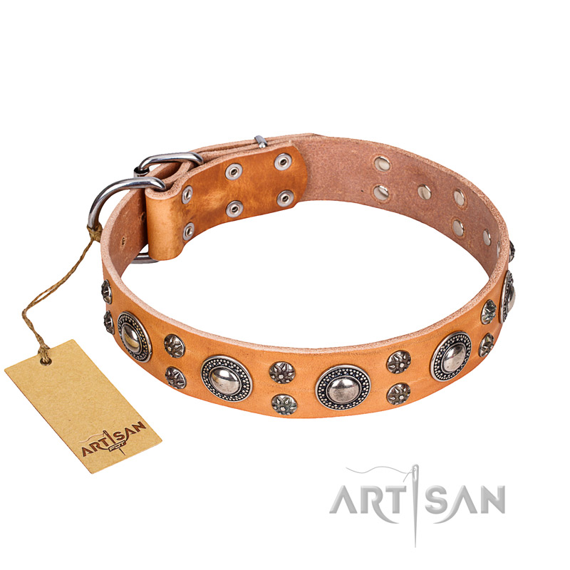 Leather Dog Collar Handmade tan color , luxury dog collar