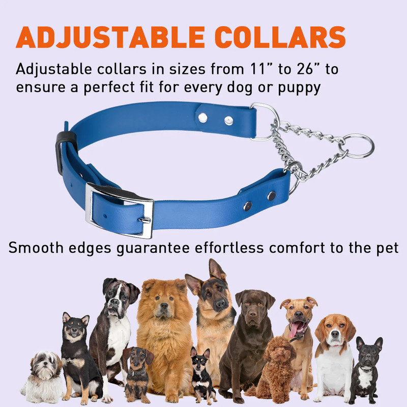 Metal martingale collar best sale